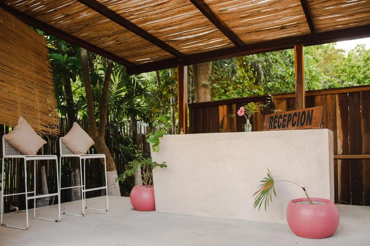 Hotel Selva Maya Bacalar Bed & Breakfast